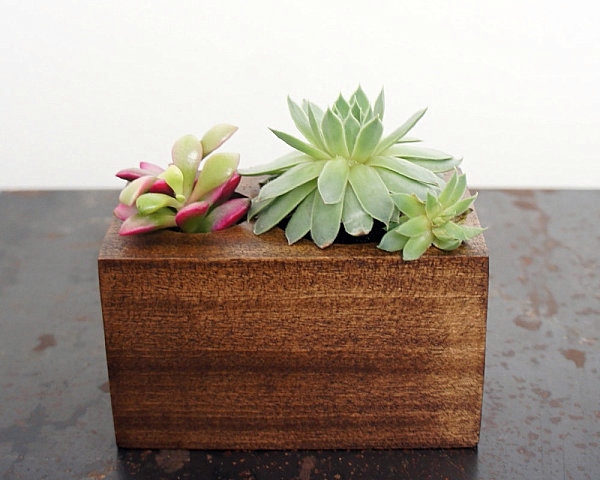 Dekoartikel - 25 modern ideas for flower pots and planters Dekoartikel - 25 modern ideas for flower pots and planters