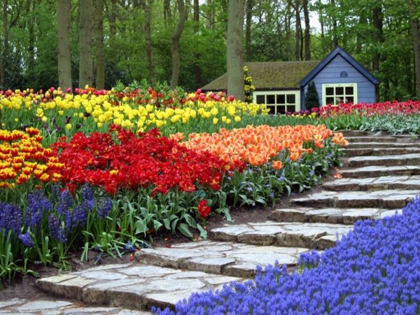 Landscaping Tips - How you can plant your favorite flowers?