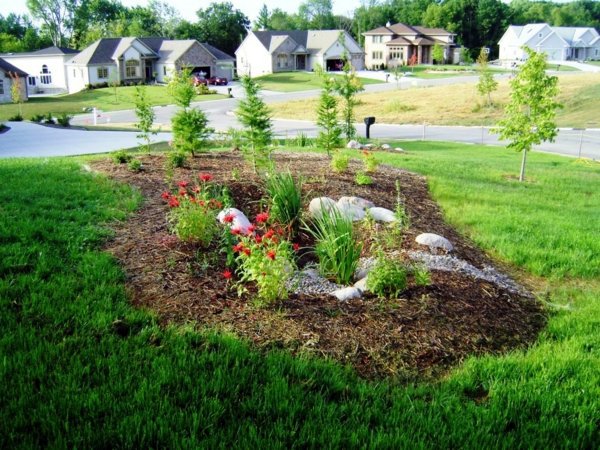 Rain garden - use the rain water and create a beautiful garden Rain garden - use the rain water and create a beautiful garden