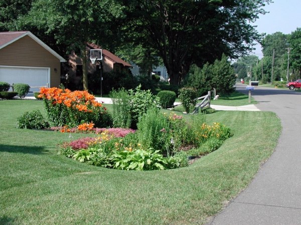 Rain garden - use the rain water and create a beautiful garden Rain garden - use the rain water and create a beautiful garden