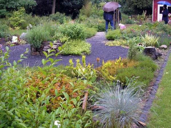 Rain garden - use the rain water and create a beautiful garden