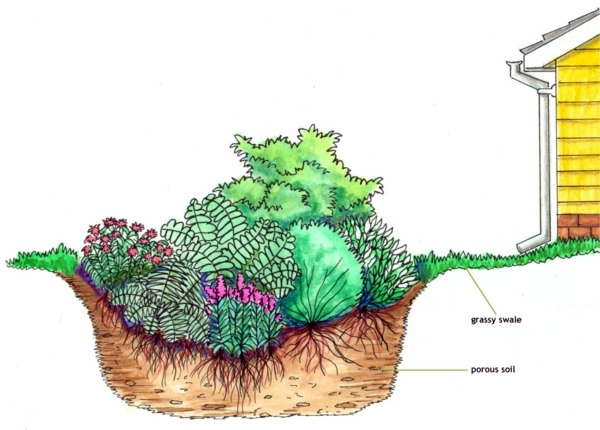 Rain garden - use the rain water and create a beautiful garden Rain garden - use the rain water and create a beautiful garden