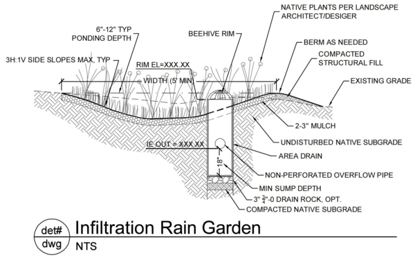 Rain garden - use the rain water and create a beautiful garden Rain garden - use the rain water and create a beautiful garden