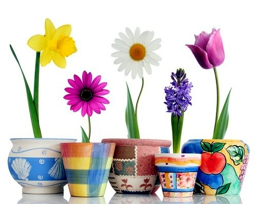 Feng Shui Ideas - positively charged gifts for your home