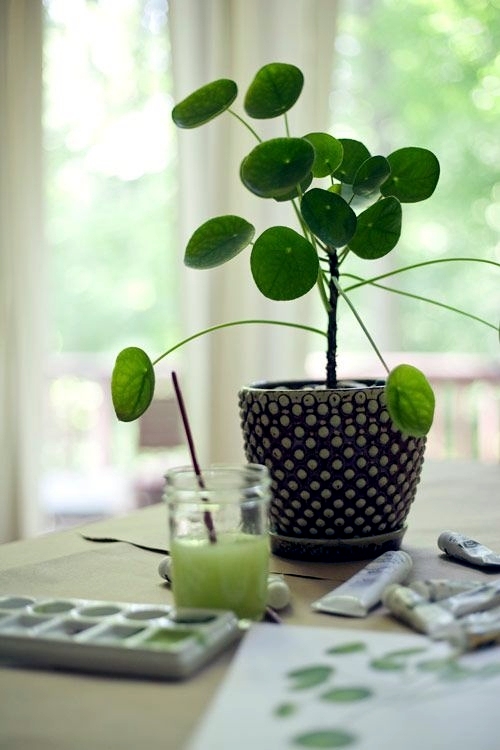 Feng Shui Ideas - positively charged gifts for your home