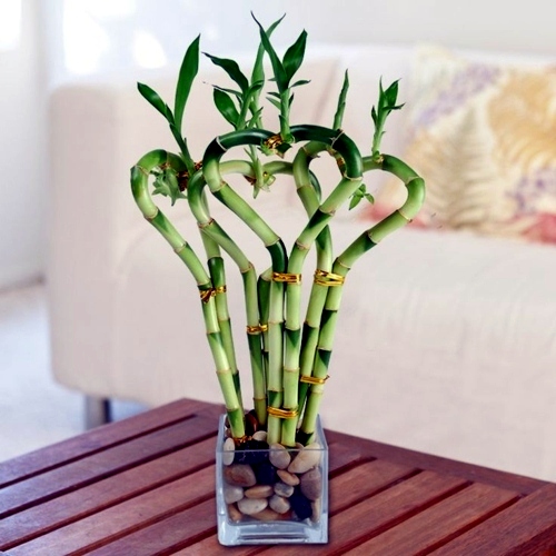 Feng Shui Ideas - positively charged gifts for your home
