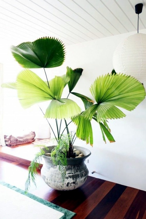 Feng Shui Ideas - positively charged gifts for your home