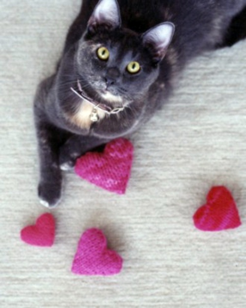 34 fresh DIY ideas for Valentine's Day - Treat yourself to have unforgettable holiday!