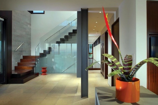 Exotic Decoration with tropical plants - how to care for bromeliads properly