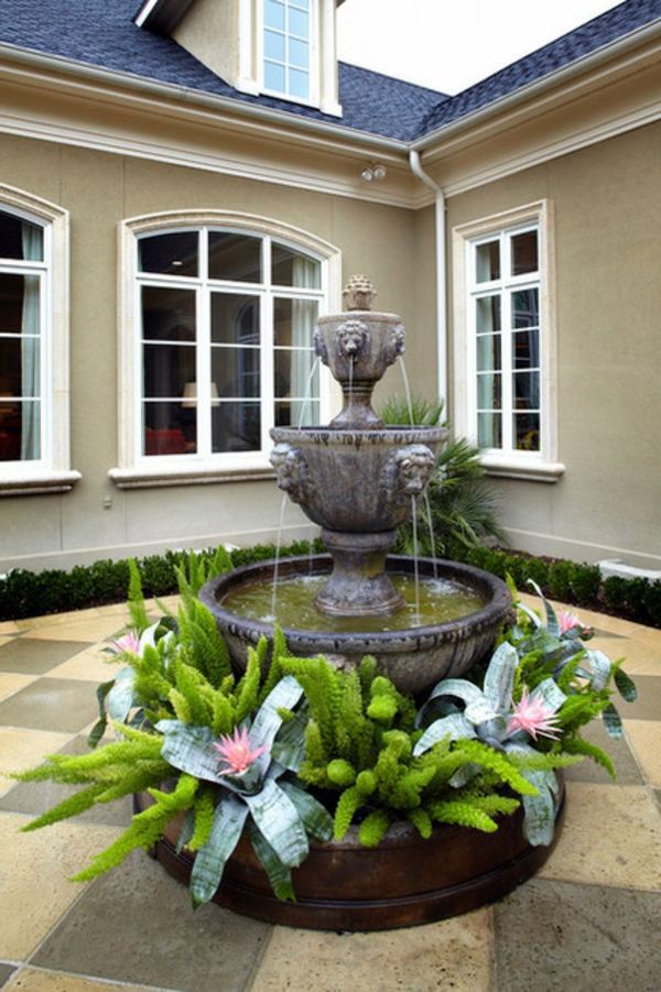 Exotic Decoration with tropical plants - how to care for bromeliads properly