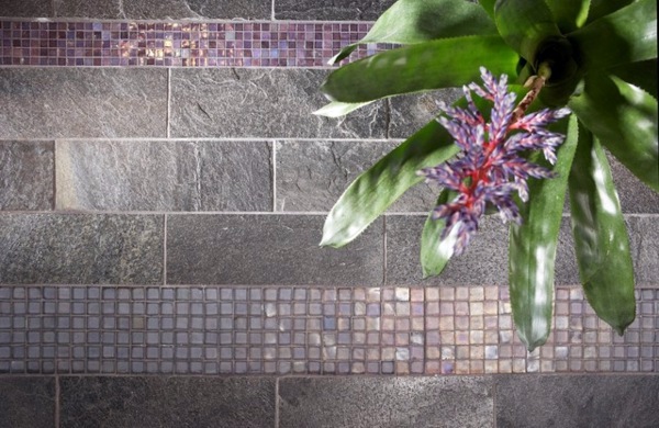 Exotic Decoration with tropical plants - how to care for bromeliads properly