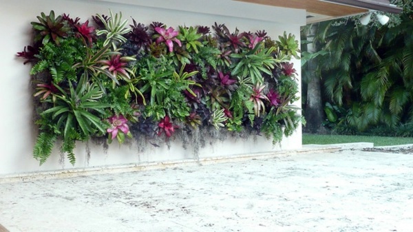 Exotic Decoration with tropical plants - how to care for bromeliads properly