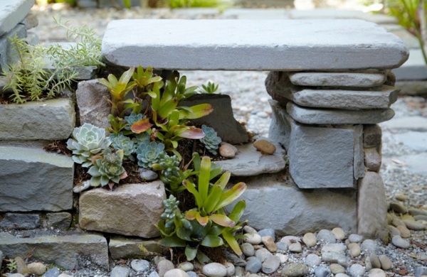 Exotic Decoration with tropical plants - how to care for bromeliads properly