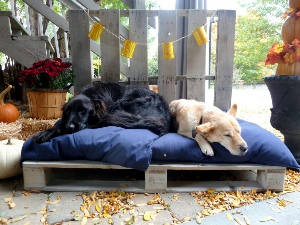 DIY wooden dog beds from Euro pallets