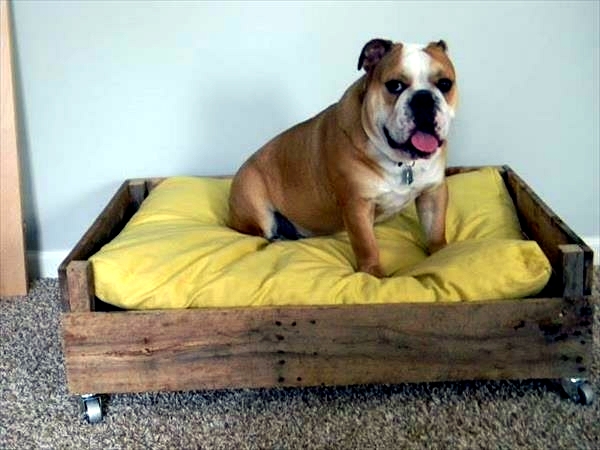 Haustiere - DIY wooden dog beds from Euro pallets Haustiere - DIY wooden dog beds from Euro pallets