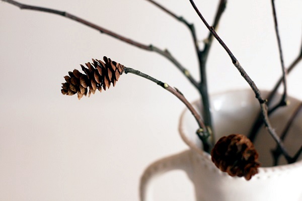 Pine cones and autumn leaves decorating ideas Pine cones and autumn leaves decorating ideas