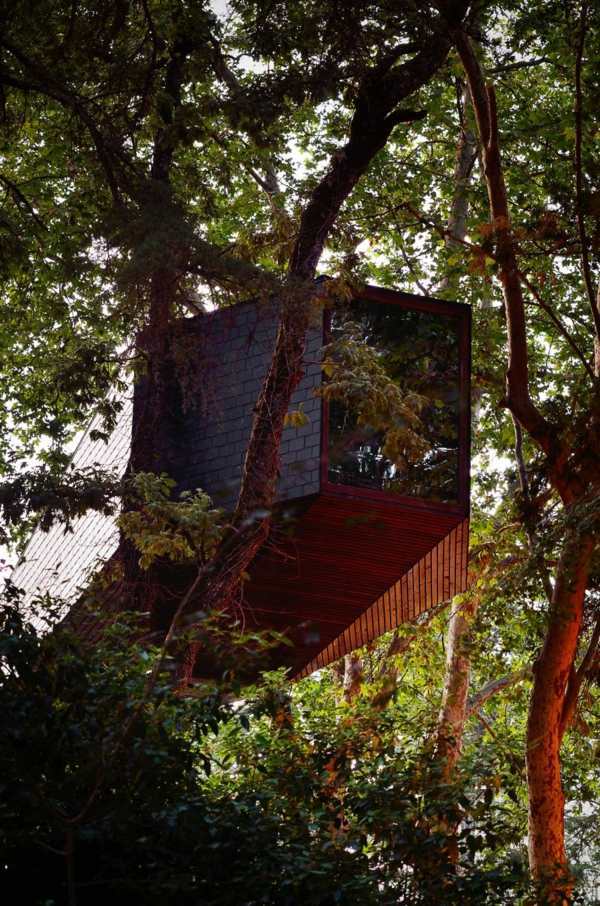 Two snake-like huts in the forest - a new term for tree house