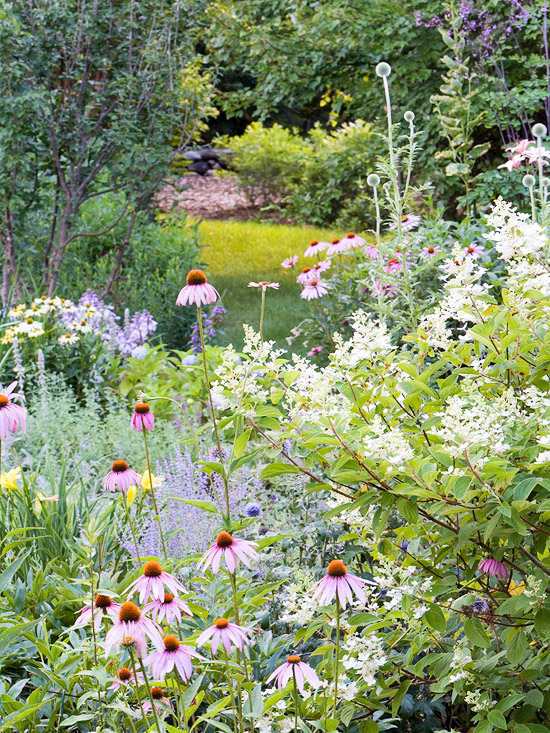 Gartengestaltung - Create a wild habitat in the garden