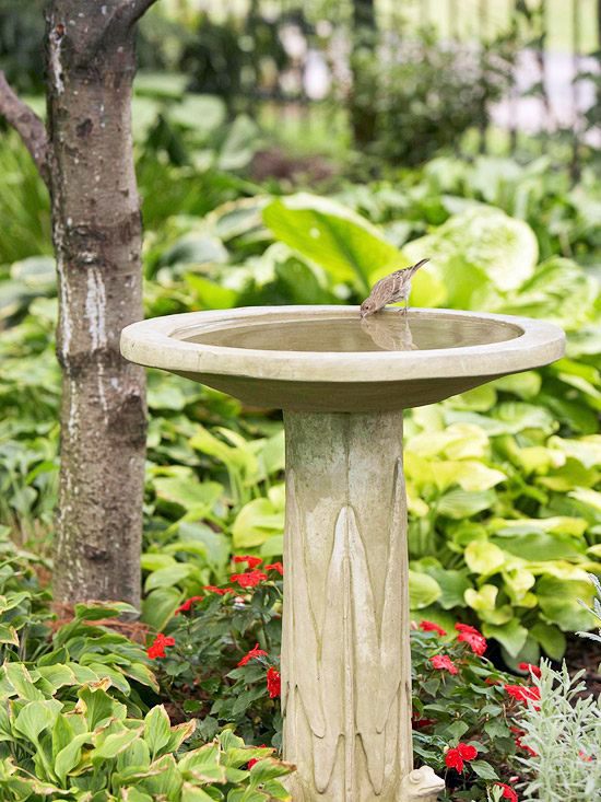 Create a wild habitat in the garden