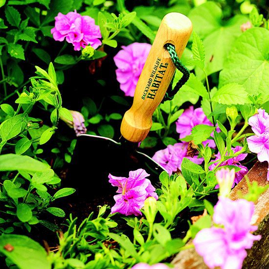 Create a wild habitat in the garden Create a wild habitat in the garden