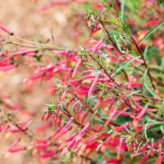 Create a wild habitat in the garden Create a wild habitat in the garden
