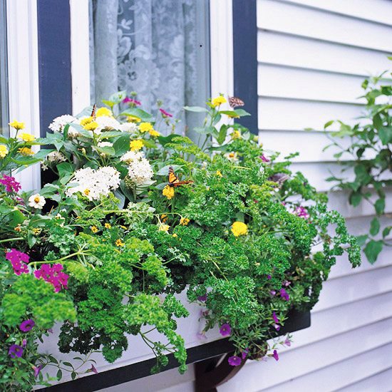 Create a wild habitat in the garden