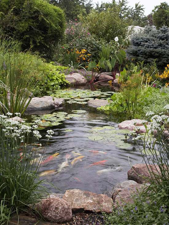 Create a wild habitat in the garden