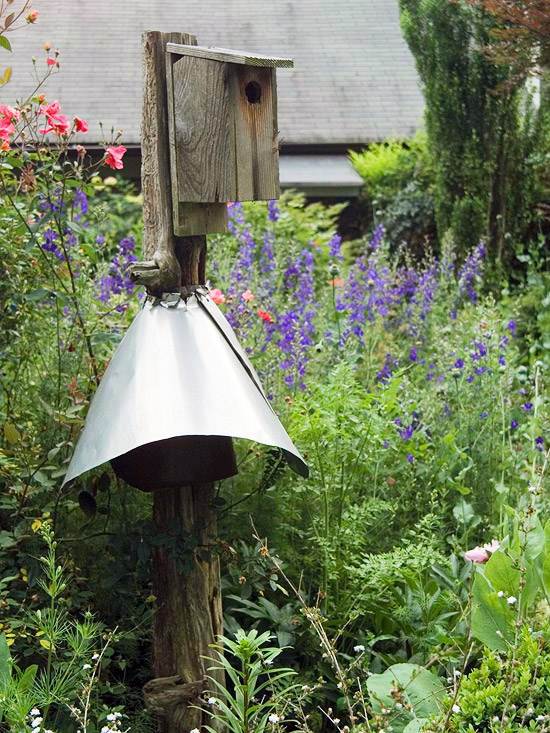 Create a wild habitat in the garden