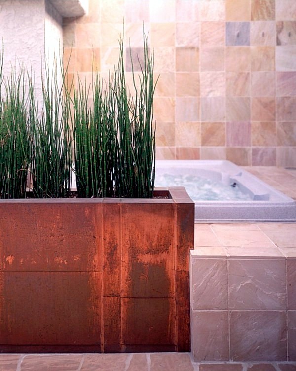 Garten & Pflanzen - Plants in the bathroom - the best suggestions for you Garten & Pflanzen - Plants in the bathroom - the best suggestions for you