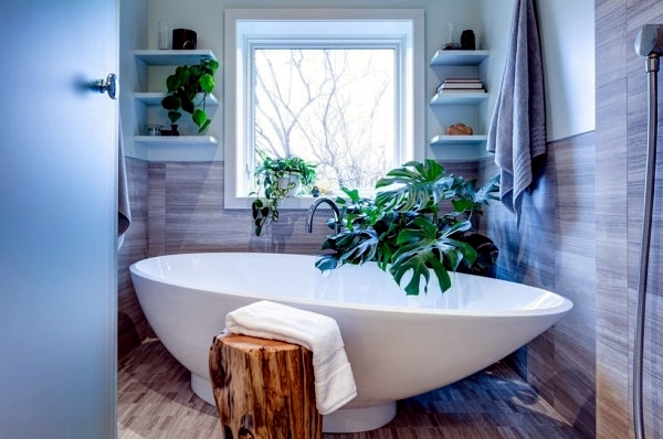 Plants in the bathroom - the best suggestions for you Plants in the bathroom - the best suggestions for you