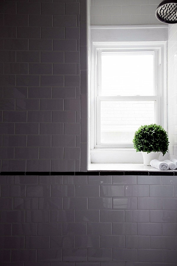 Plants in the bathroom - the best suggestions for you Plants in the bathroom - the best suggestions for you