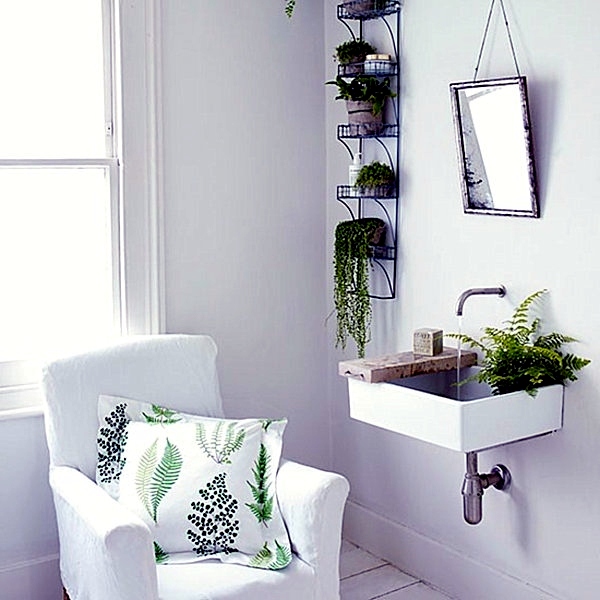 Plants in the bathroom - the best suggestions for you Plants in the bathroom - the best suggestions for you