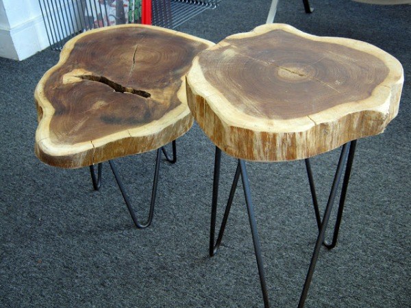 Table tree trunk - great art piece in the living room