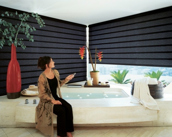 Blinds for bathroom windows - shutters and window decoration