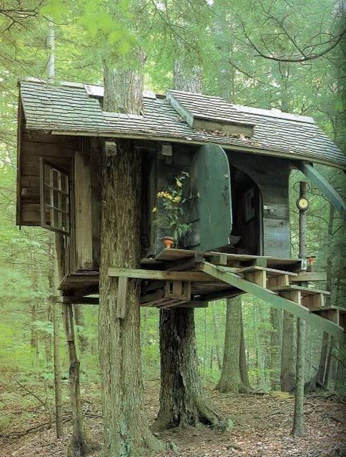 11 architectural ideas for fantastic tree houses