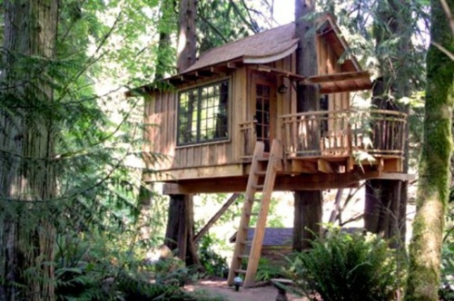 11 architectural ideas for fantastic tree houses