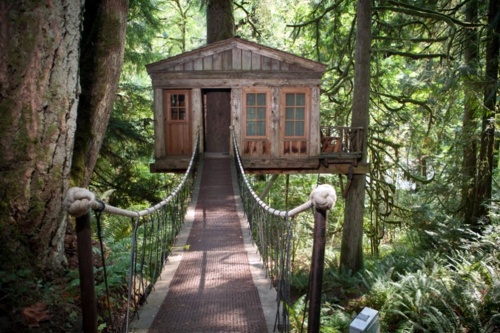 11 architectural ideas for fantastic tree houses