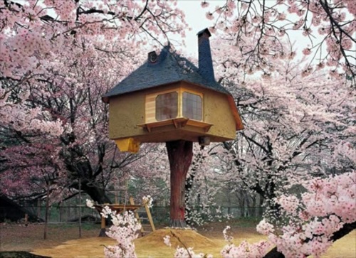 11 architectural ideas for fantastic tree houses