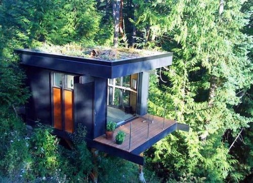 11 architectural ideas for fantastic tree houses