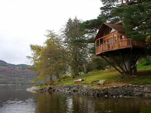11 architectural ideas for fantastic tree houses