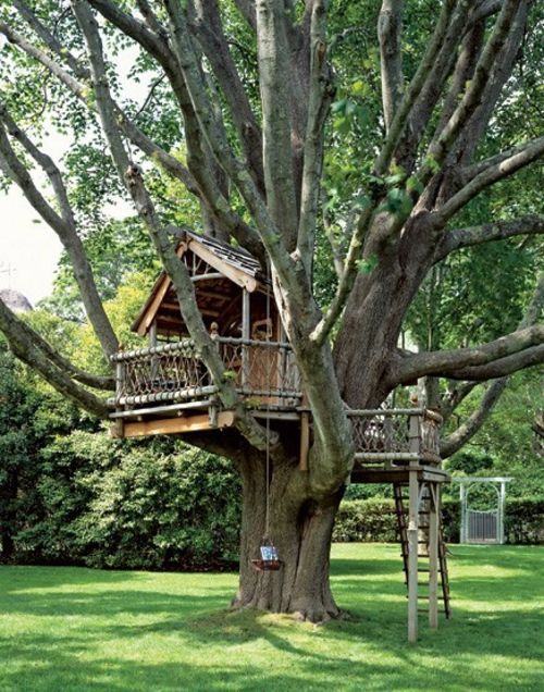 11 architectural ideas for fantastic tree houses