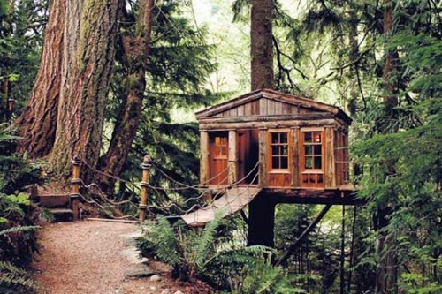 11 architectural ideas for fantastic tree houses