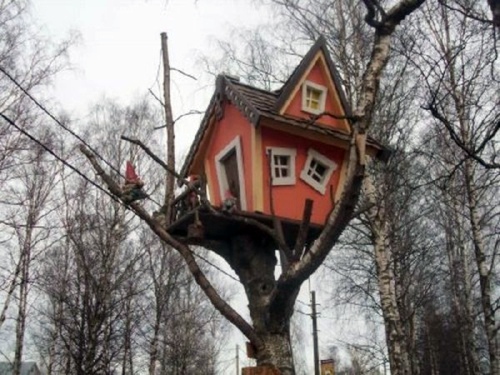 11 architectural ideas for fantastic tree houses