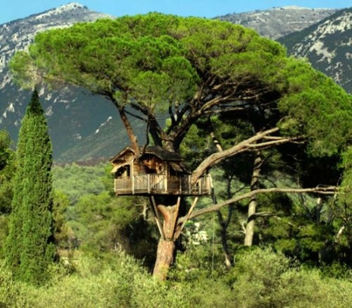 11 architectural ideas for fantastic tree houses