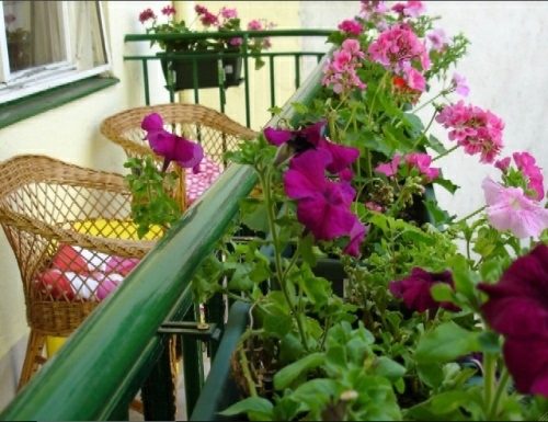 19 original ideas for a cozy balcony