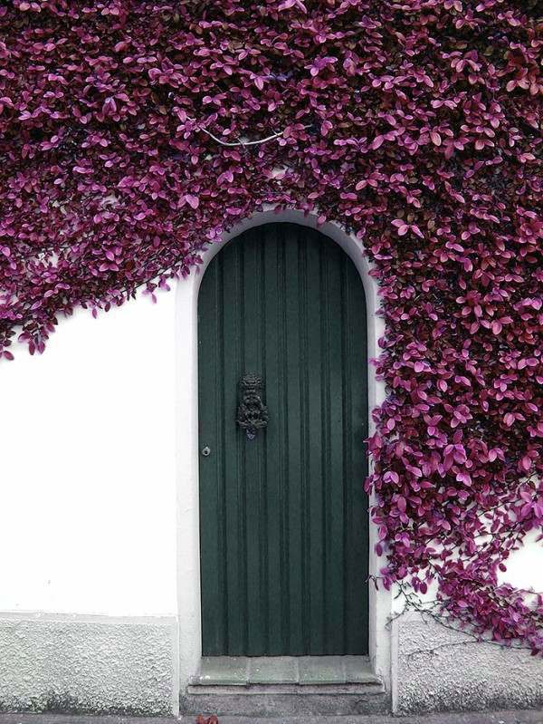 Beautiful house doors in country style - DIY door colors