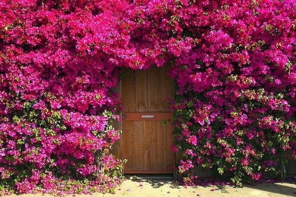 Beautiful house doors in country style - DIY door colors Beautiful house doors in country style - DIY door colors
