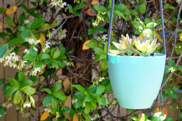 Balkonpflanzen - Hanging planters do it yourself - a DIY project for your garden