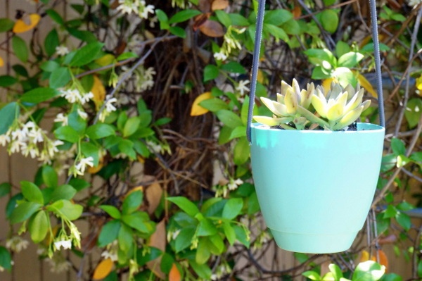 Balkonpflanzen - Hanging planters do it yourself - a DIY project for your garden Balkonpflanzen - Hanging planters do it yourself - a DIY project for your garden