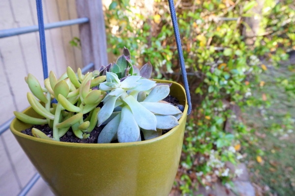 Hanging planters do it yourself - a DIY project for your garden Hanging planters do it yourself - a DIY project for your garden